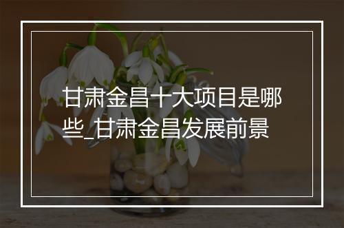 甘肃金昌十大项目是哪些_甘肃金昌发展前景